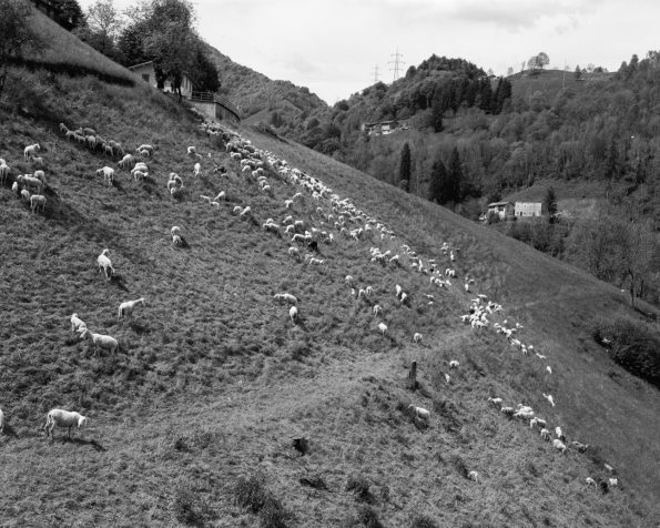 10_25.05.23_Morterone_©Cerri-15