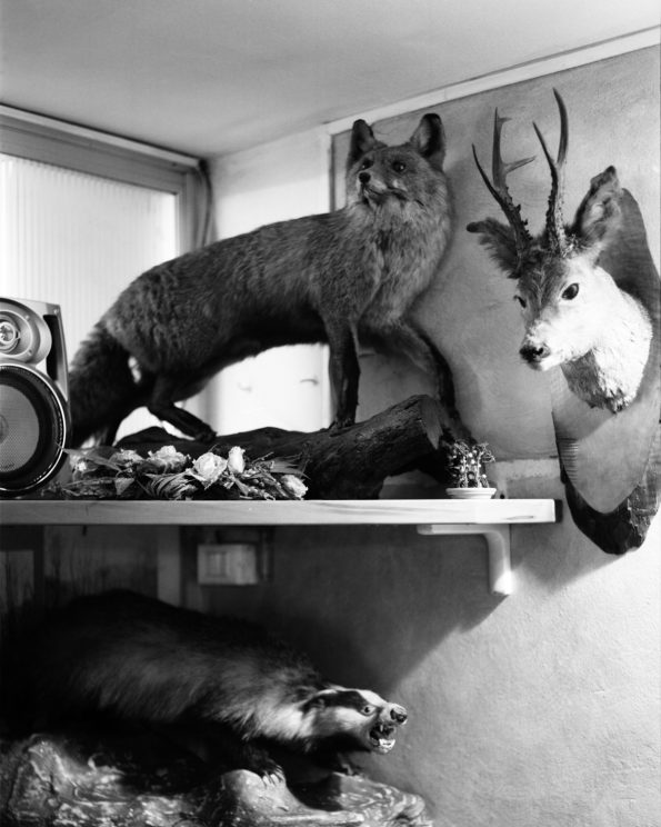 11_25.04.12_Morterone_©DeGrandis-20