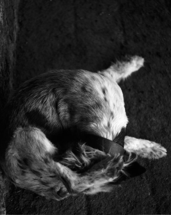 1_25.06.28_Morterone_©Cerri-13