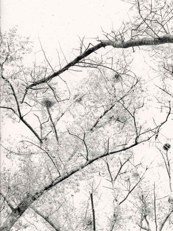 DeRerumNatura_3