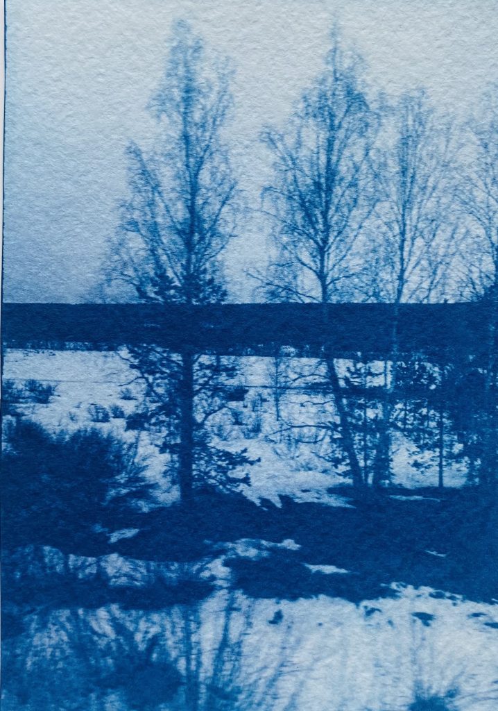 Ida Anderson_Blue Valentines_12