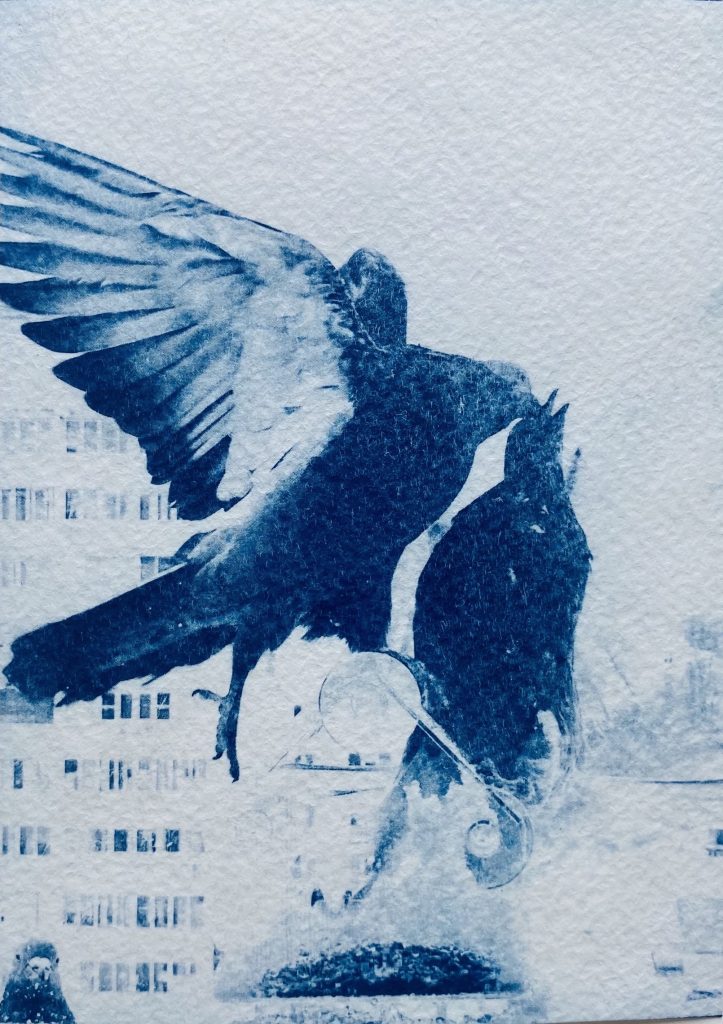 Ida Anderson_Blue Valentines_17