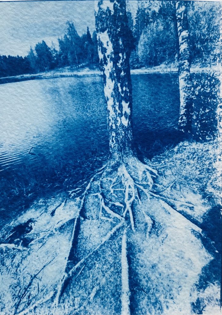 Ida Anderson_Blue Valentines_20