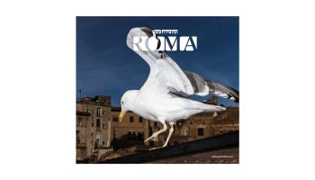 Perimetro Roma Issue 01