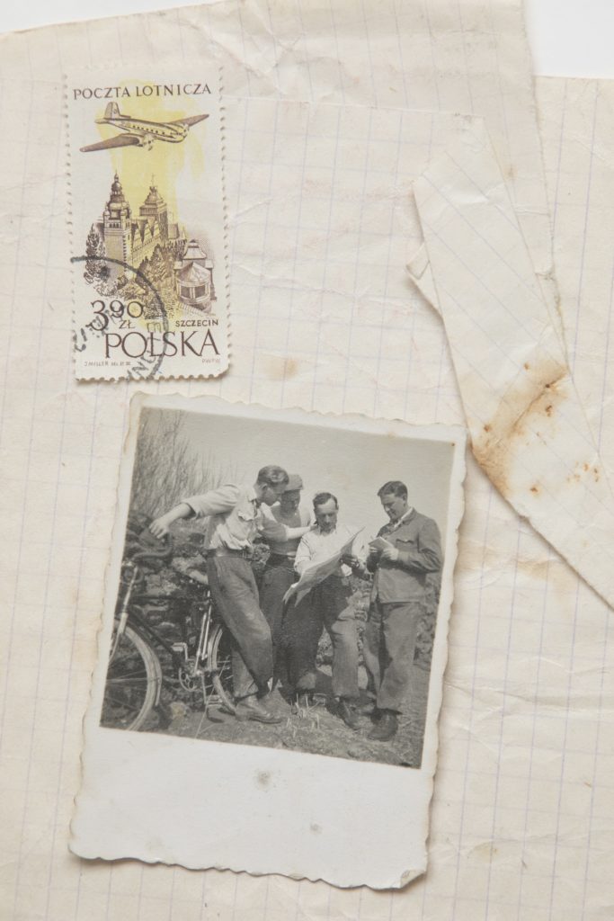 memorie di un bosco05